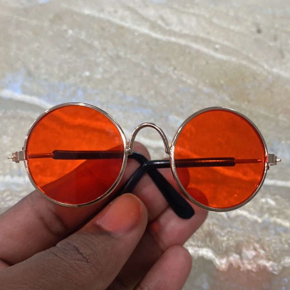 Sunglasses for small pet